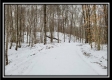 Tract 1 - Number 12 Hollow property photo