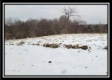 Tract 1 - Number 12 Hollow property photo