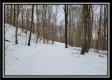 Tract 1 - Number 12 Hollow property photo