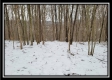 Tract 1 - Number 12 Hollow property photo