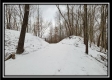 Tract 1 - Number 12 Hollow property photo
