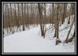 Tract 1 - Number 12 Hollow property photo