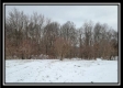 Tract 1 - Number 12 Hollow property photo