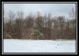 Tract 1 - Number 12 Hollow property photo