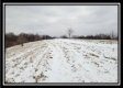 Tract 1 - Number 12 Hollow property photo