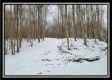 More of Tract 1 - Number 12 Hollow