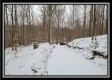 Tract 1 - Number 12 Hollow property photo