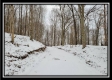 More of Tract 1 - Number 12 Hollow