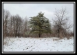 Tract 1 - Number 12 Hollow property photo