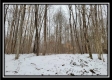 Tract 1 - Number 12 Hollow property photo