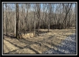 The Overlook Cabin at Muskingum Woods property photo
