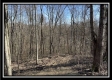 The Overlook Cabin at Muskingum Woods property photo