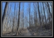 The Overlook Cabin at Muskingum Woods property photo