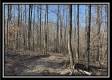 The Overlook Cabin at Muskingum Woods property photo