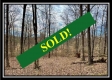 Tract 16 - Muskingum Woods