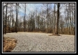 Tract 16 - Muskingum Woods property photo