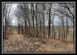 Tract 16 - Muskingum Woods property photo