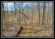 Tract 16 - Muskingum Woods property photo