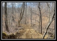 Tract 16 - Muskingum Woods property photo