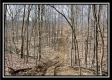 Tract 16 - Muskingum Woods property photo