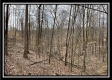 Tract 16 - Muskingum Woods property photo