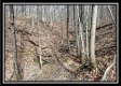 Tract 16 - Muskingum Woods property photo