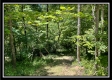 Whitetail Hollow Cabin at Muskingum Woods property photo