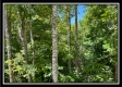 Whitetail Hollow Cabin at Muskingum Woods property photo
