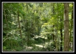 Whitetail Hollow Cabin at Muskingum Woods property photo