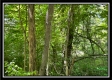 Whitetail Hollow Cabin at Muskingum Woods property photo