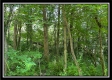 Whitetail Hollow Cabin at Muskingum Woods property photo