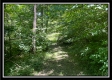 Whitetail Hollow Cabin at Muskingum Woods property photo
