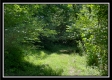 Whitetail Hollow Cabin at Muskingum Woods property photo
