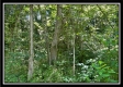 Whitetail Hollow Cabin at Muskingum Woods property photo