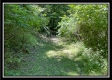 Whitetail Hollow Cabin at Muskingum Woods property photo