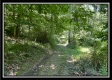 Whitetail Hollow Cabin at Muskingum Woods property photo