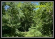 Whitetail Hollow Cabin at Muskingum Woods property photo