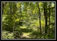 Whitetail Hollow Cabin at Muskingum Woods property photo