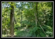 Whitetail Hollow Cabin at Muskingum Woods property photo