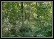 Whitetail Hollow Cabin at Muskingum Woods property photo