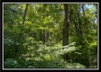 Whitetail Hollow Cabin at Muskingum Woods property photo