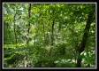 Whitetail Hollow Cabin at Muskingum Woods property photo