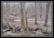 Tract 5 at Number 12 Hollow property photo