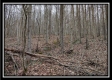 Tract 5 at Number 12 Hollow property photo
