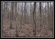 Tract 5 at Number 12 Hollow property photo
