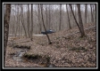 Tract 5 at Number 12 Hollow property photo