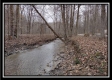 More of Tract 5 at Number 12 Hollow