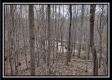 Tract 5 at Number 12 Hollow property photo