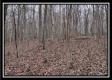 Tract 5 at Number 12 Hollow property photo