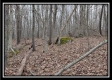 Tract 5 at Number 12 Hollow property photo